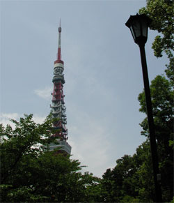 緑の中に東京タワー