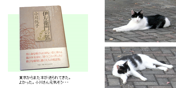 本と猫2態