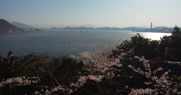 桜の海峡