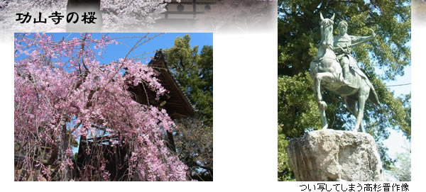 功山寺の桜