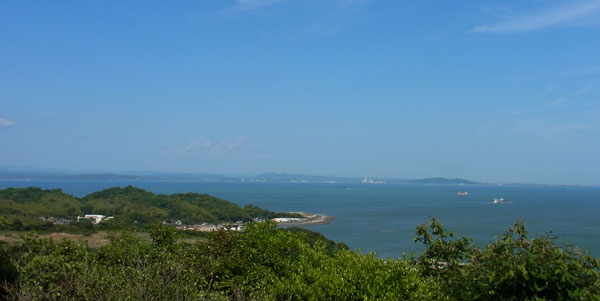 白野江植物公園展望台からの風景