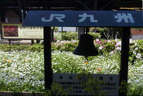 駅構内の花