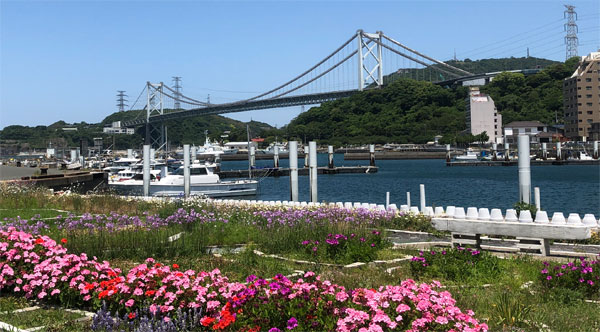 快晴の花と関門橋