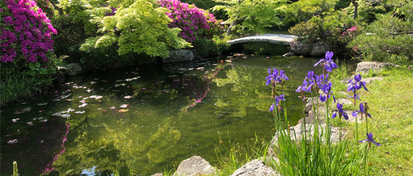 長府庭園の池