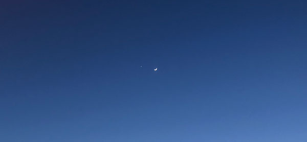 月と金星接近