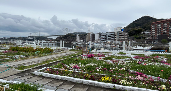 曇り空の下の花壇