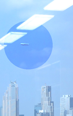 ��s�D���ʉ�